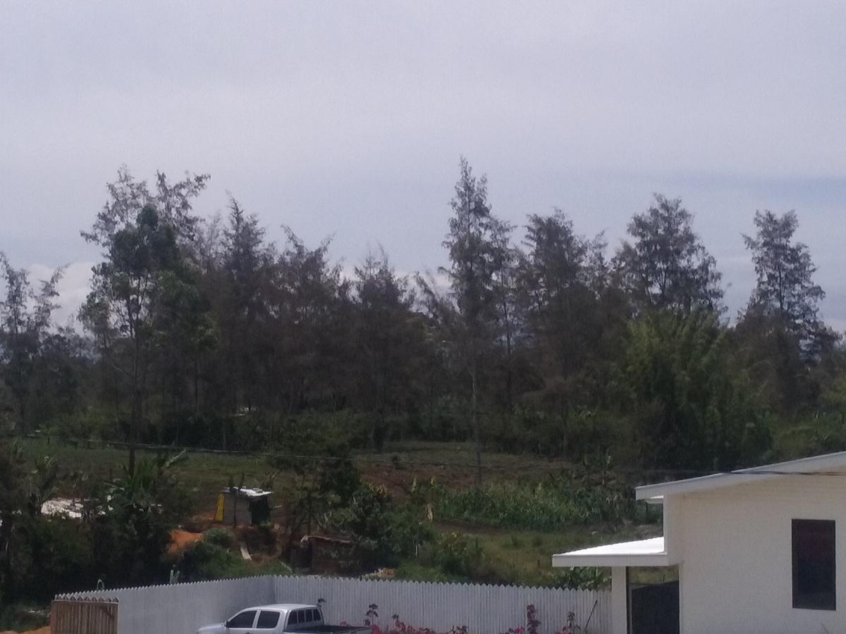 Mcroyal Hotel Mount Hagen Kültér fotó